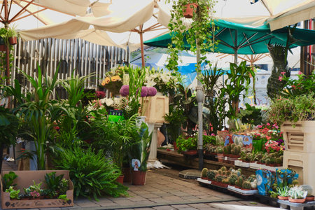 Madrid, Spain - August 22, 2020: open air street flower market close to Tirso de Molina metro stationのeditorial素材