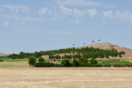 Typical landscape of central part of Spain, Castille La Mancha province at summertime. Weekend escape for people from Madrid and Toledo communityの写真素材