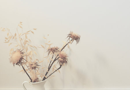 Dried flowers in vase. Ikebana style arrangement. Boho background, soft toneの写真素材