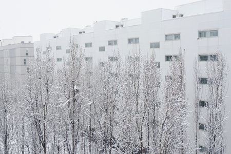 Snow storm in suburb district outside in Zaragoza, Spain. Trees covered with snow. Tranquil wintertime photo.の写真素材