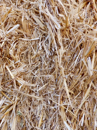 Dry haystack of yellow warm color outside for backgrounds and backdrops.の写真素材