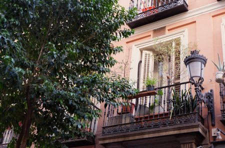 Cozy balcony with house plants in downtown district Barrio de las letras of Madrid, Spain. Vintage urban architecture.の写真素材