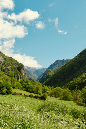 Summertime valley. Highland France, Pyrenees mountain range. Vintage traveling background.