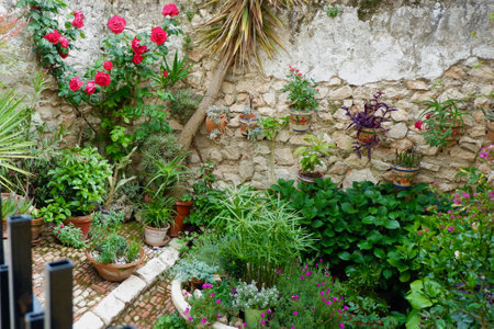 A peaceful courtyard showcases an array of potted plants and vibrant flowers against a rustic stone wall, creating a serene escape in a sunny afternoon.の写真素材
