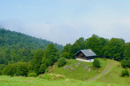A wooden cabin stands in solitude on a grassy hill surrounded by tall trees. Mist blankets the valley beneath a cloudy sky, creating a serene rural atmosphere.の写真素材