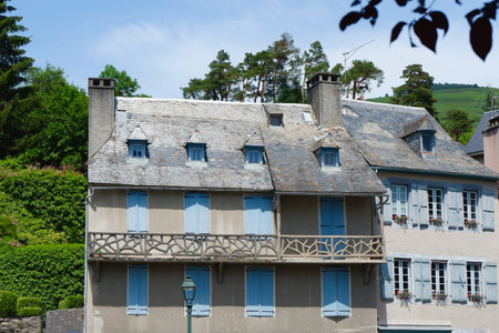 A charming structure stands proudly with its slate roof and blue shutters, nestled in a lush green environment. Tall trees enhance the serene atmosphere of the location.の写真素材
