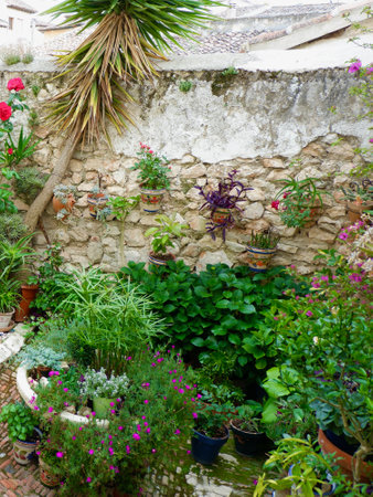 Lush greenery and blooming flowers thrive in a serene stone courtyard, showcasing various potted plants adorning the walls, creating a tranquil atmosphere.の写真素材