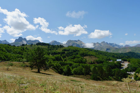 A vast mountain landscape displays rolling hills dotted with trees and vibrant greenery under bright blue skies with wispy clouds. The scene captures the tranquility of nature in summer.の写真素材
