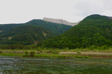 Lush green mountains rise majestically above a tranquil water body surrounded by trees and reeds, creating a serene natural landscape on a cloudy day.の写真素材