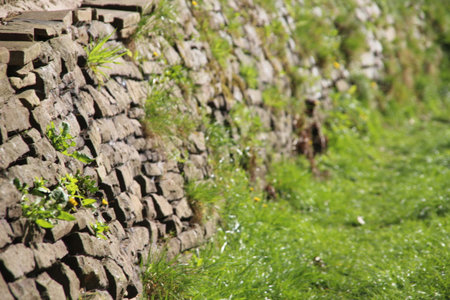 Stone wall in rural areaの写真素材