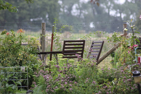 Table and chairs in garden sceneの写真素材