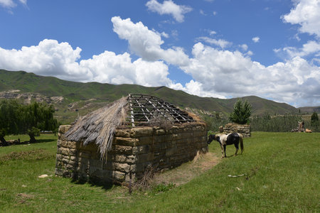 Half-built house and horse in the hilly landscape of the Butha-Buthe region of Lesotho.の写真素材