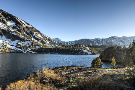 Inyo National Forest - Ellery Lake - Yosemite National Park, California.の写真素材
