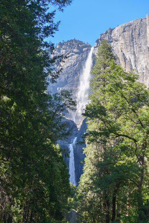 Yosemite Falls in Yosemite National Parkの写真素材