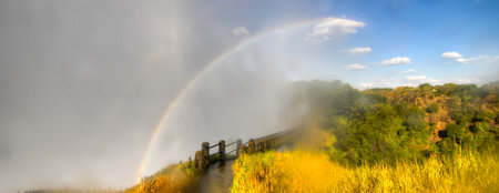 Victoria Falls, located on the Zambezi River on the border between Zambia and Zimbabwe.の写真素材