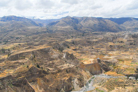 Colca Canyon, Peru, South America. The Incas built farming terraces with pond and cliff. One of the deepest canyons in the world.の写真素材