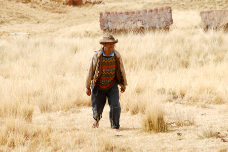 SACRED VALLEY OF THE INCAS, PERU - AUGUST 16, 2006: Peruvian farmer walking the land along the Sacred Valley of the Incas.のeditorial素材