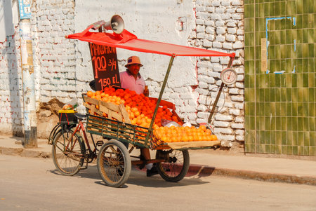 NAZCA, PERU - AUGUST 10, 2006: Street vendor selling mandarins and oranges in Nazca, Peru.のeditorial素材