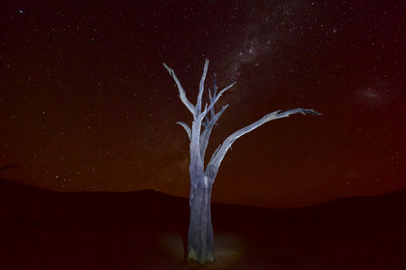 Dead Vlei at dusk in the southern part of the Namib Desert, in the Namib-Naukluft National Park of...