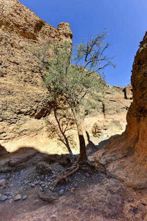 The Sesriem Canyon near Sossusvlei in Namibia.の写真素材