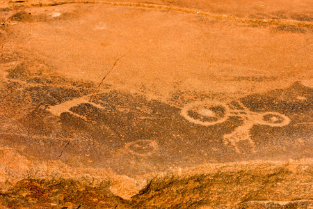 Bushman prehistoric rock engravings at the UNESCO World Heritage Center in Twyfelfontein, Namibia.のeditorial素材