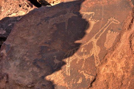 Bushman prehistoric rock engravings at the UNESCO World Heritage Center in Twyfelfontein, Namibia.のeditorial素材
