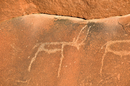 Bushman prehistoric rock engravings at the UNESCO World Heritage Center in Twyfelfontein, Namibia.のeditorial素材