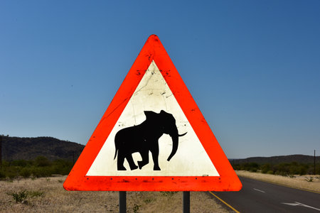 Caution: Elephants! Road sign standing beside road, Namibia, Africaの写真素材
