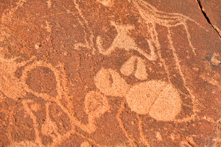 Bushman prehistoric rock engravings at the UNESCO World Heritage Center in Twyfelfontein, Namibia.のeditorial素材