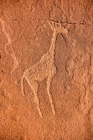 Bushman prehistoric rock engravings at the UNESCO World Heritage Center in Twyfelfontein, Namibia.のeditorial素材