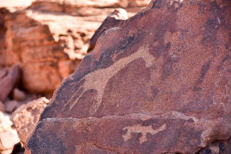 Bushman prehistoric rock engravings at the UNESCO World Heritage Center in Twyfelfontein, Namibia.のeditorial素材