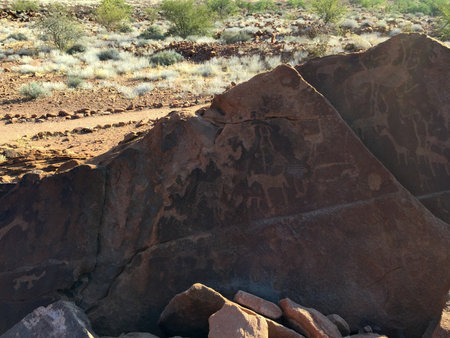 Bushman prehistoric rock engravings at the UNESCO World Heritage Center in Twyfelfontein, Namibia.のeditorial素材