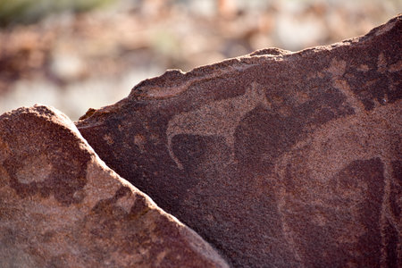 Bushman prehistoric rock engravings at the UNESCO World Heritage Center in Twyfelfontein, Namibia.のeditorial素材