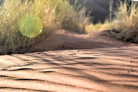 Desert landscape in the NamibRand Nature Reserve in Namibia.の写真素材