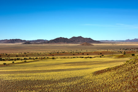 Desert landscape in the NamibRand Nature Reserve in Namibia.の写真素材