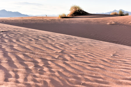 Desert landscape in the NamibRand Nature Reserve in Namibia.の写真素材