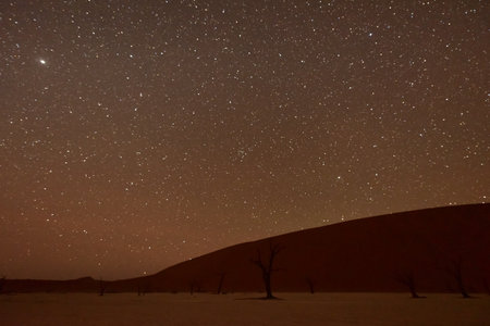 Dead Vlei at dusk in the southern part of the Namib Desert, in the Namib-Naukluft National Park of Namibia.の写真素材