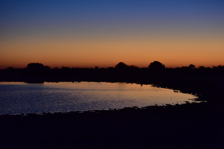 Waterhole by Namutoni in Etosha, Namibia at sunrise.の写真素材