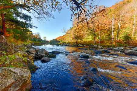 Adirondacks Peak Fall Foliage in upstate New York along the Ausable River.の写真素材