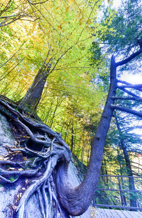 Adirondacks Peak Fall Foliage in upstate New York along the Ausable River and High Falls Gorge.