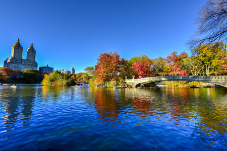 The Bow Bridge is a cast iron bridge located in Central Park, New York City, crossing over The Lake and used as a pedestrian walkway in autumn.のeditorial素材