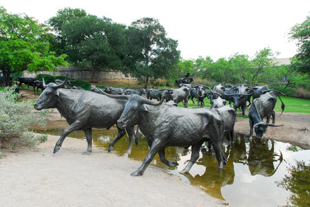 Dallas, Texas - May 13, 2007: Pioneer Plaza, cattle crossing a stream open and free to the public, landmark 73 piece cattle drive sculpture gifted by Trammel Crow to the city of Dallasのeditorial素材