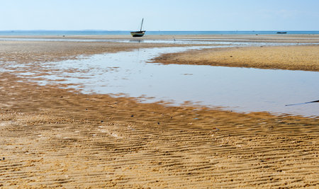 Panoramic View of Vilanculos Beach in Mozambique during low tide. One can see the various dhows resting in the sand.の写真素材
