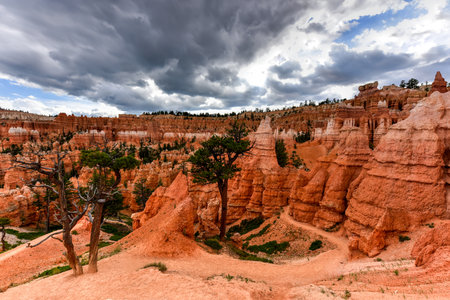The Amphitheater in Bryce Canyon National Park in Utah, United States.の写真素材