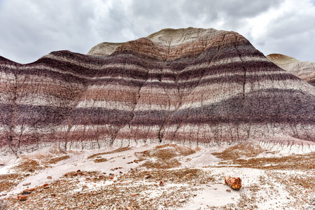 Blue Mesa in Petrified Forest National Park, Arizona, USAの写真素材