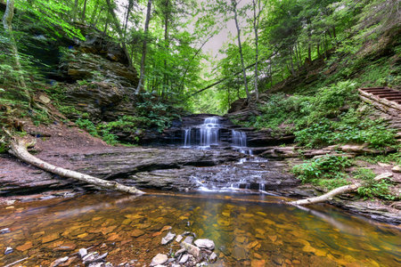 Waterfall in Ricketts Glen State Park, Pennsylvania.の写真素材