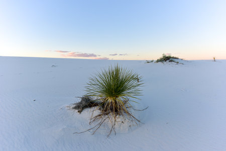 Sunset at White Sands National Monument in New Mexico.の写真素材