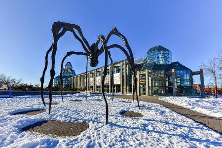 Spider sculpture in front the National Gallery of Canada, located in the capital city Ottawa, Ontario, is one of Canada's premier art galleries.のeditorial素材