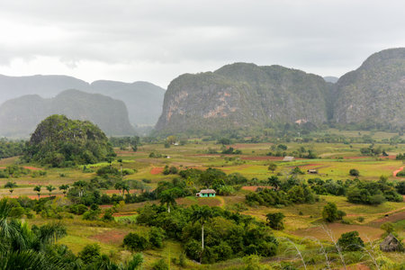 Panorama of Vinales valley, north of Cuba.の写真素材