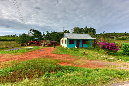 Rural house on a farm in Vinales, Cuba.のeditorial素材
